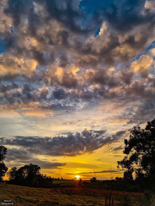 Desaprender para aprender