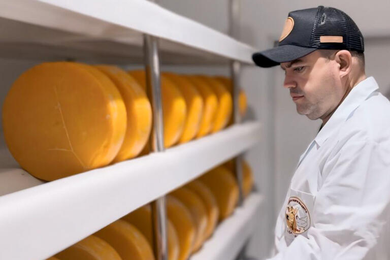 Projeto de Queijos Finos lança o Queijo tipo Bel Paese, premiado antes mesmo de chegar ao mercado