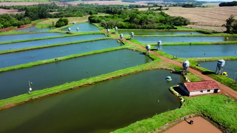 Propriedade no Paraná é reconhecida modelo em sustentabilidade