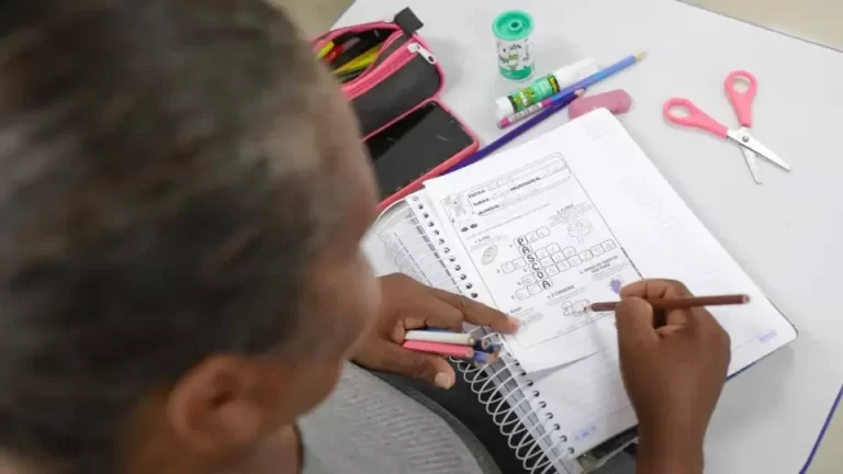 Taxa de alfabetização chega a 93% da população brasileira, revela IBGE