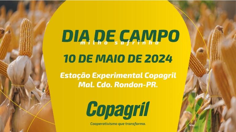 Dia de Campo Milho Safrinha Copagril acontece na sexta-feira