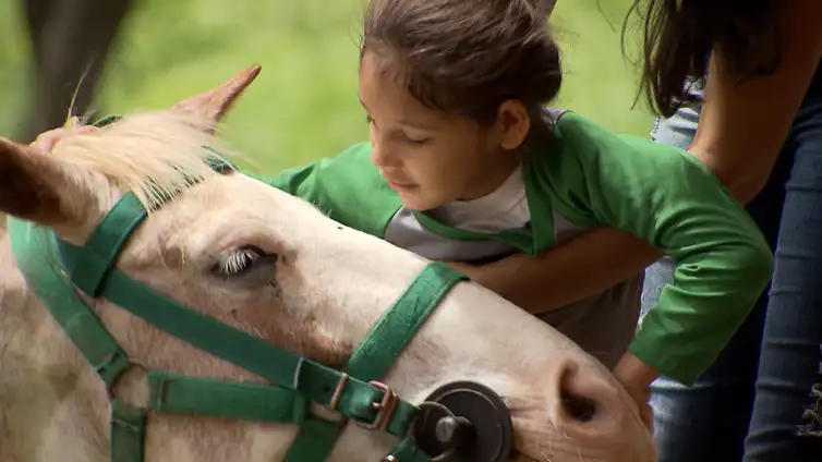Câmara aprova inclusão de equoterapia no SUS