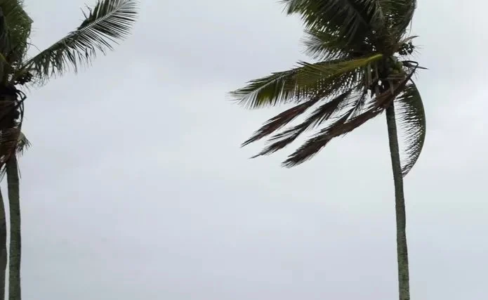 Veja as regiões que receberão ciclone e frio nesta semana