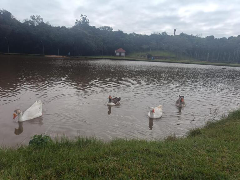 Defesa Civil emite alerta de chuva, raios e vendaval na região Oeste