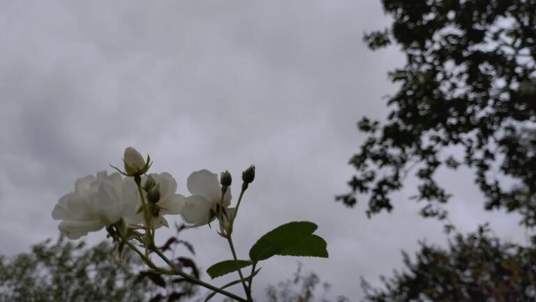 Simepar indica 27 milímetros de chuva para Marechal Rondon neste sábado