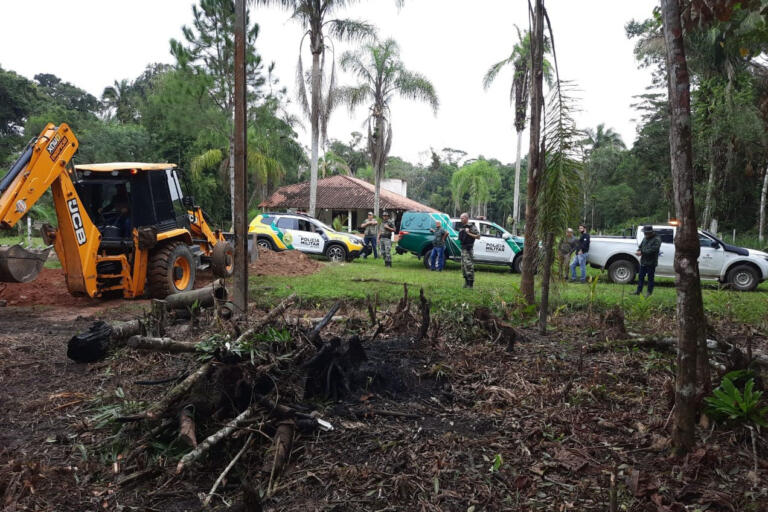 Paraná reduz em 78% o desmatamento; multas por danos à flora foi de R$ 182,3 milhões em 2023