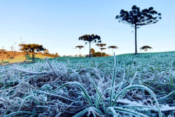 Sul do Brasil tinha neve há um ano; El Niño impedirá nevadas em 2026 ...