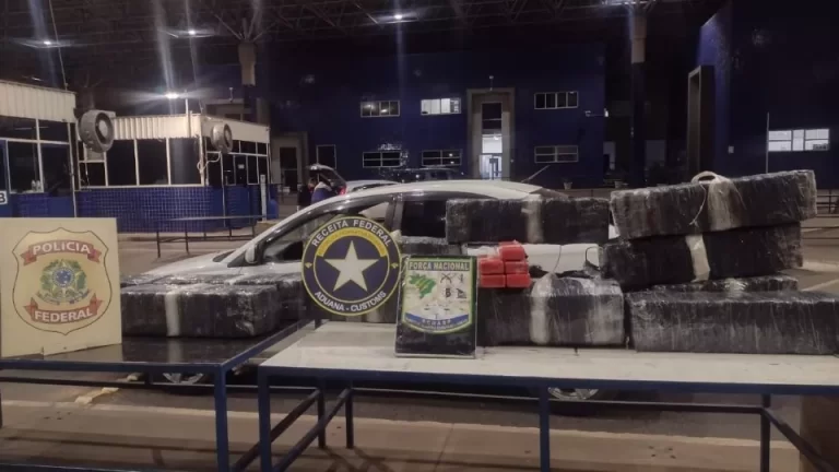 Meia tonelada de maconha é apreendida na Ponte Internacional da Amizade