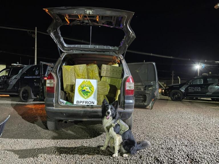 Canil do BPFron apreende carro e cigarros no interior de Mercedes