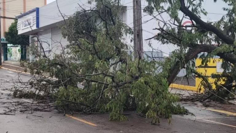 São Miguel do Iguaçu decreta emergência pública após estragos provocados por temporal