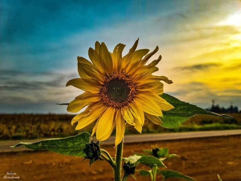 Perceba nas entrelinhas﻿