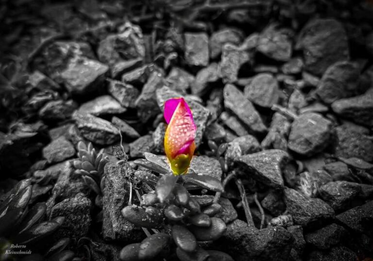 Tudo é questão de tempo