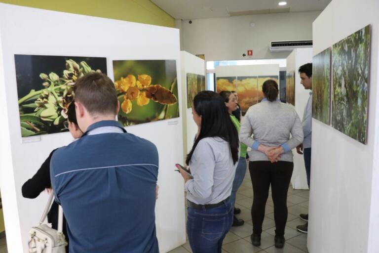 Exposição “Territórios Revelados” pode ser apreciada no centro cultural de Pato Bragado
