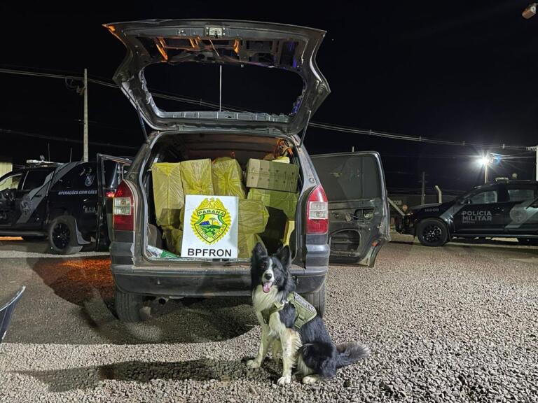 Veículo carregado com cigarros contrabandeados é apreendido em Mercedes