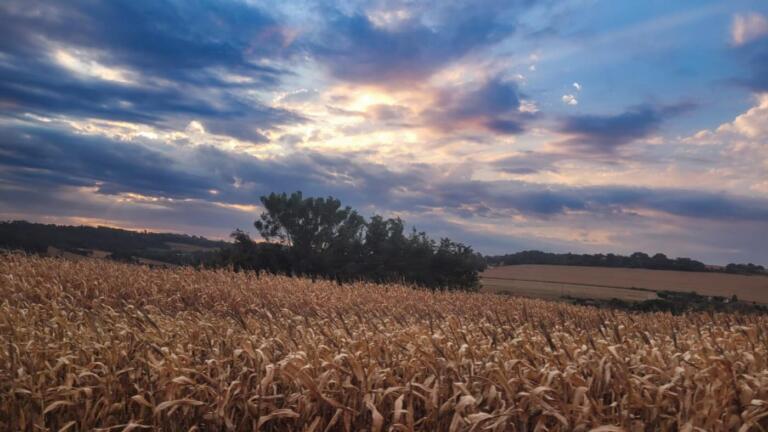Previsão climática para o sul do país Indica desafios na safra de grãos