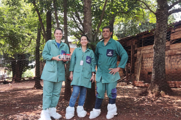 Alinhada a Plano Nacional, Adapar encerra a vigilância ativa de aves do ciclo 2024