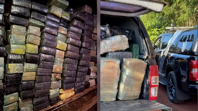 Depósito com 2,7 toneladas de maconha é fechado em Santa Helena