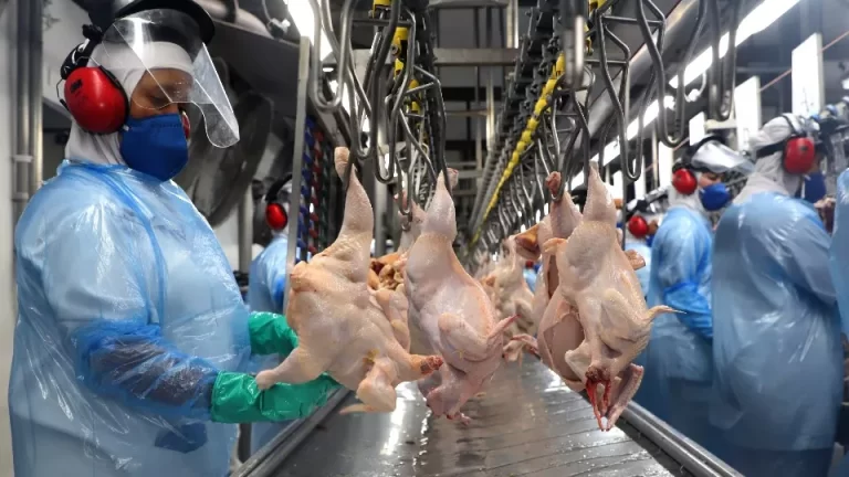 Paraná perde R$ 1,6 bilhão ao ano por falta de infraestrutura no setor produtivo