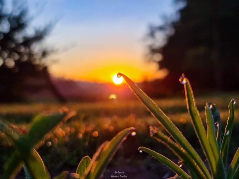 Se for para desistir…