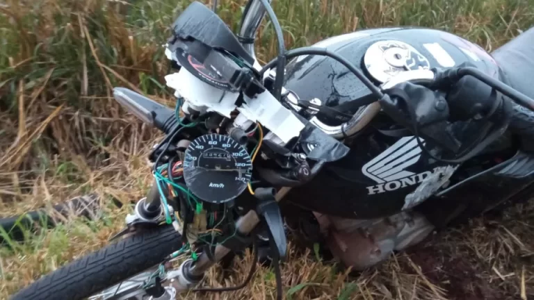 Motociclista fica ferido ao atropelar capivara na PR-491
