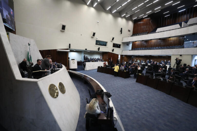 Deputados solicitam inclusão do tratamento de lipedema nos planos de saúde e no SUS