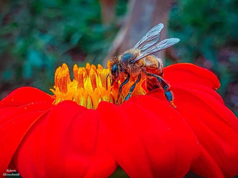 A natureza e seus encantos