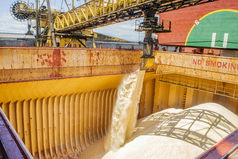 Exportações do Paraná para Ásia, África e Oriente Médio batem recorde no 1º semestre