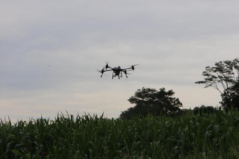 Drone de pulverização proporciona equilíbrio entre rentabilidade e sustentabilidade