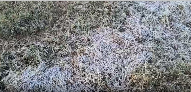 Toledo registra geada em pontos do interior