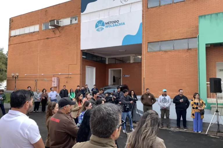 58 milhões de “mosquitos do bem” vão combater a dengue em cidade do Paraná