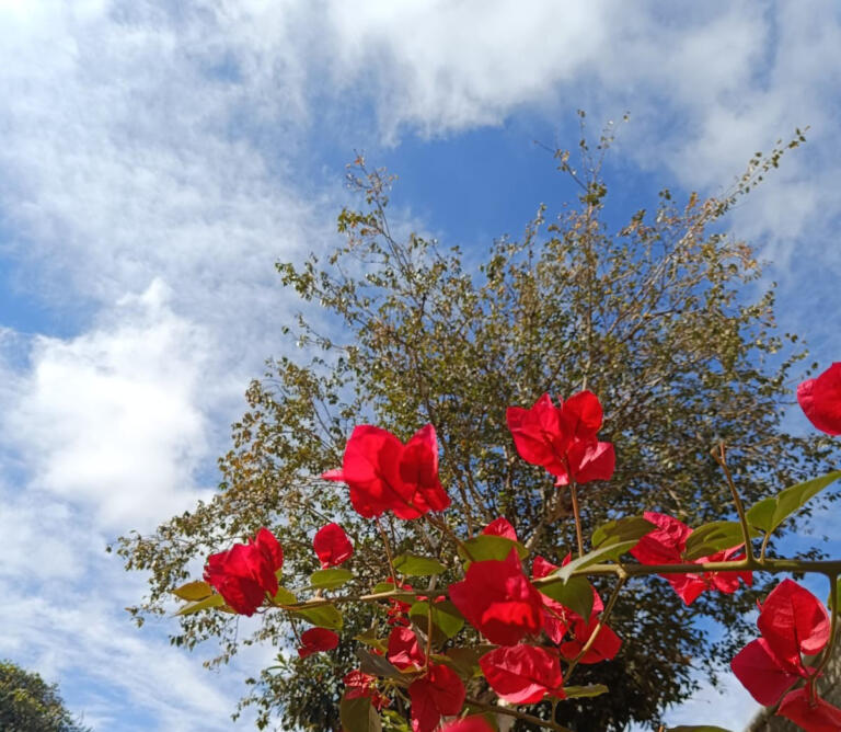 Fim de semana de tempo estável com ar seco; veja a previsão para Marechal Rondon