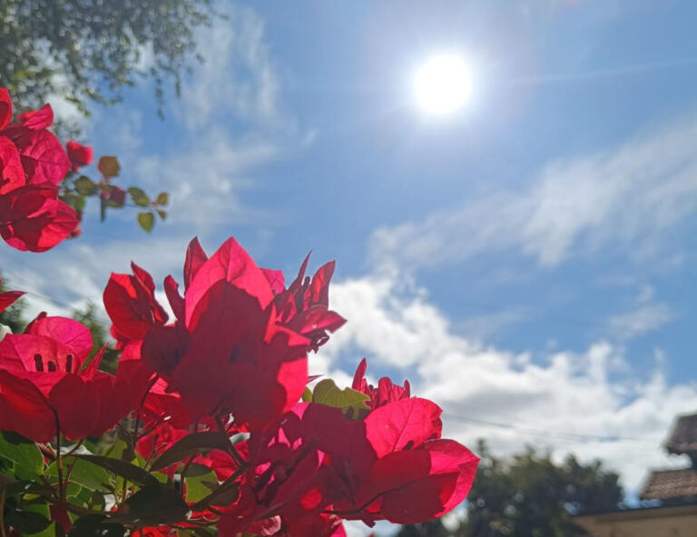 Domingo com chuvas rápidas e isoladas abrem semana de sol e calor em Marechal Rondon