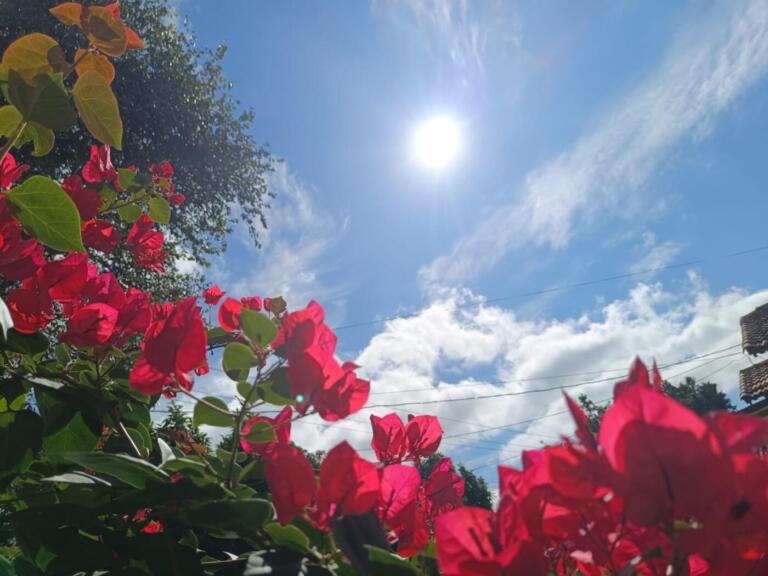Domingo será de temperaturas elevadas no Oeste