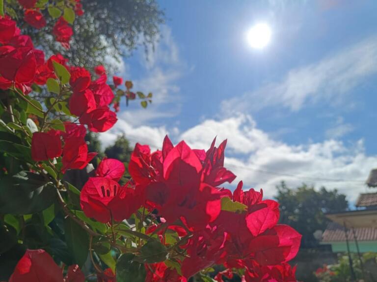 Marechal Rondon tem domingo de sol e máxima de 26ºC; veja previsão para os próximos dias