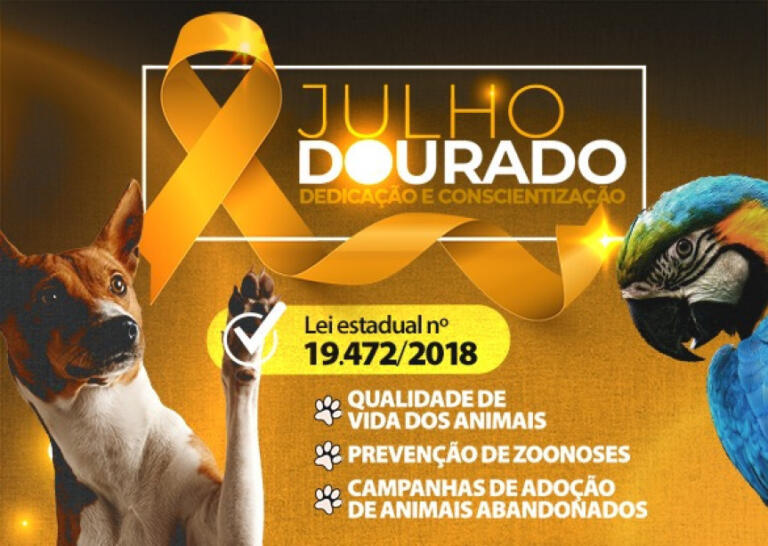 Julho Dourado alerta tutores sobre cuidados com os pets