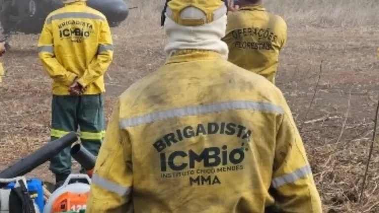 Focos de incêndios no Parque Nacional de Ilha Grande são controlados 