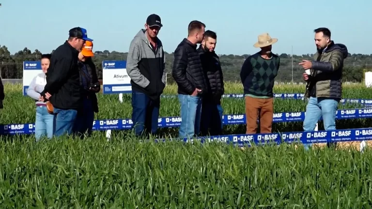 Show Rural de Inverno inicia com novidades para a cultura do trigo