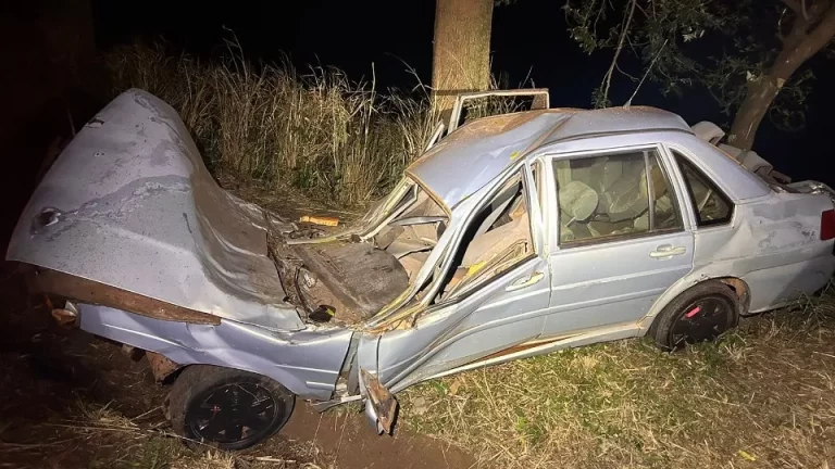 Motorista bate carro contra árvore e morre
