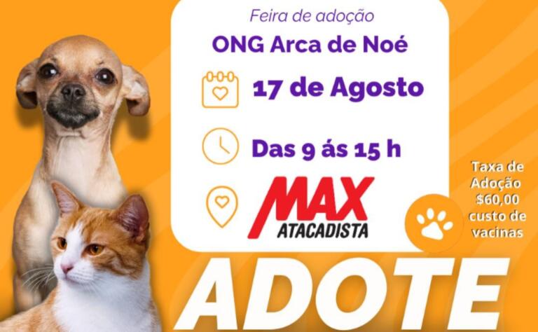 Campanha de adoção neste sábado foca em cães sem raça definida