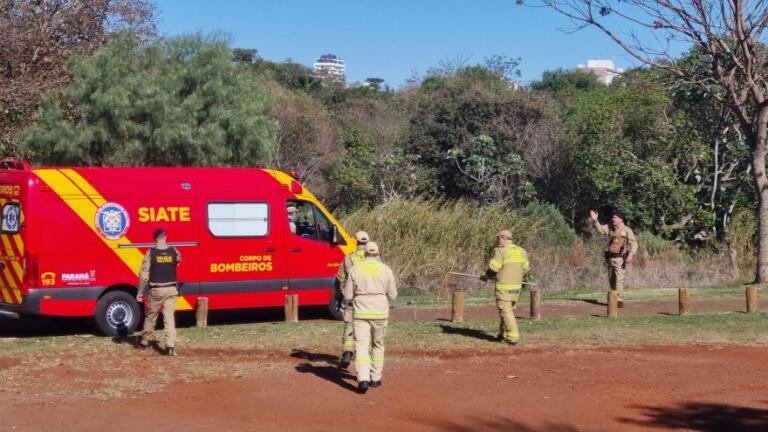 Idosos ficam feridos após ataque de pitbulls em Cascavel