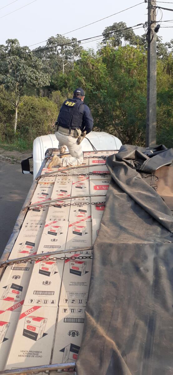Paraná concentra quase metade do cigarro apreendido em rodovias de todo o Brasil