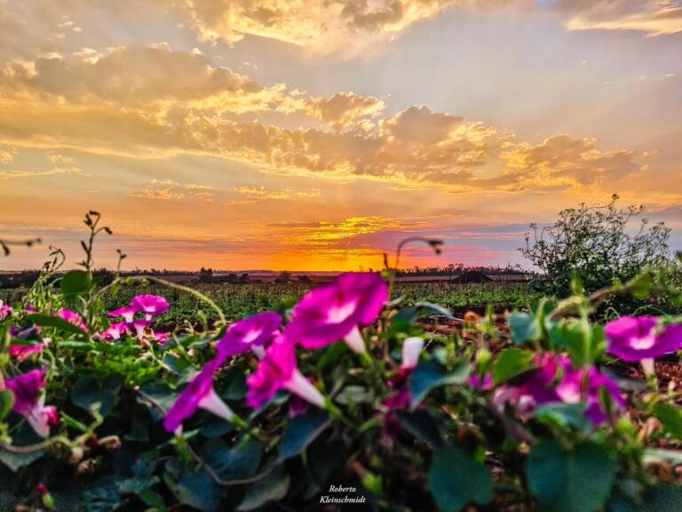 Frio, calor, sol, chuva? Veja a previsão do tempo para Marechal Rondon nos próximos dias