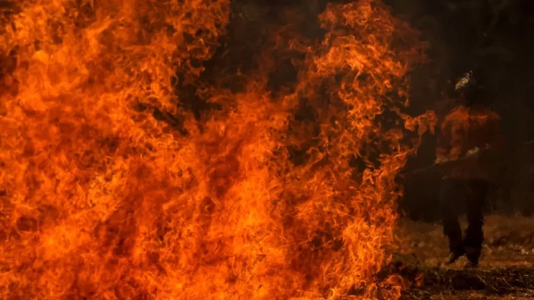 Fogo atinge um quarto do Brasil em 40 anos e 2024 registra recordes de queimadas