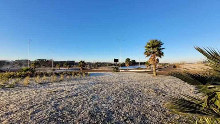 Com geadas, Paraná registra -5ºC e 12 cidades têm dia mais frio do ano, diz Simepar; veja lista
