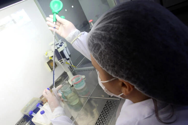 200 escolas estaduais do Paraná terão Clubes de Ciência implantados