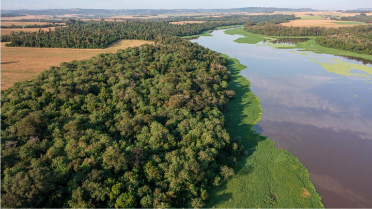 Itaipu e Embrapa realizam mapeamento de informações de 30 mil hectares de mata atlântica no Oeste do PR