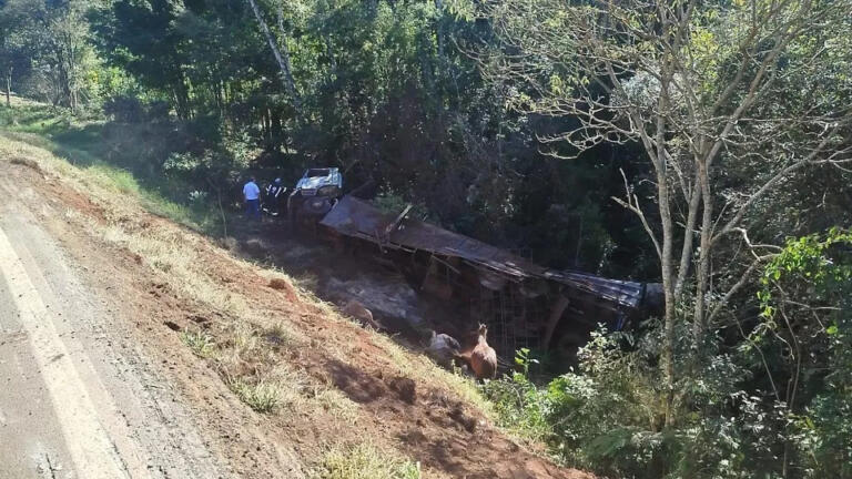 Carreta capota e 6 cavalos morrem em acidente no Paraná
