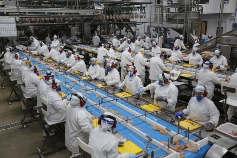 China suspende habilitação de 51 frigoríficos de produtos avícolas do Brasil