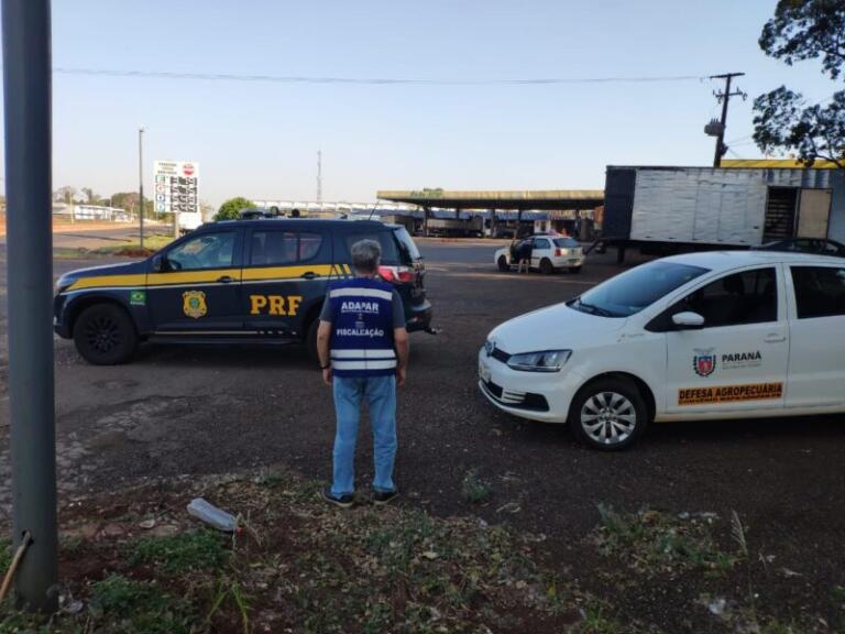 Adapar realiza operações de fiscalização e controle do trânsito agropecuário