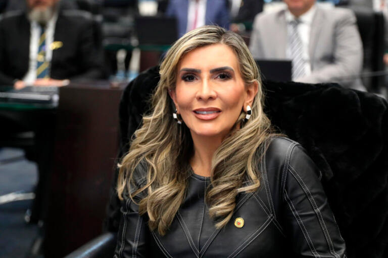 Deputada Flávia Francischini  é eleita a primeira vice-presidente da história da Assembleia Legislativa